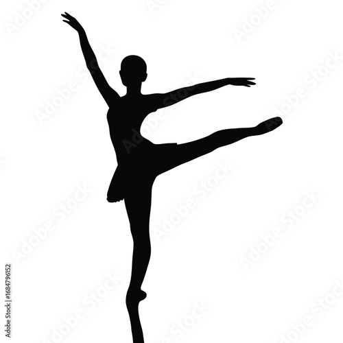 A Graceful Ballerina in Silhouette Performing an Elegant Arabesque with Balance and Poise Exhibiting the Art of Dance