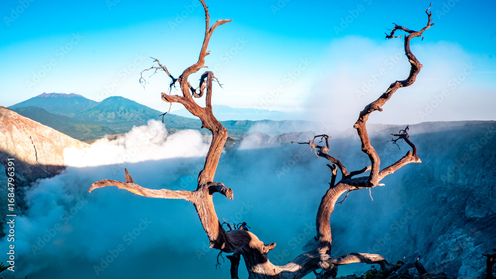 Fototapeta premium Dry twisted tree branches overlooking the turquoise crater lake Kawah Ijen with volcanic smoke in East Java, Indonesia. Unique volcanic landscape with dramatic contrast of nature and barren wood.
