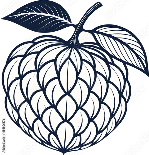 Zenia fruits line art black design
