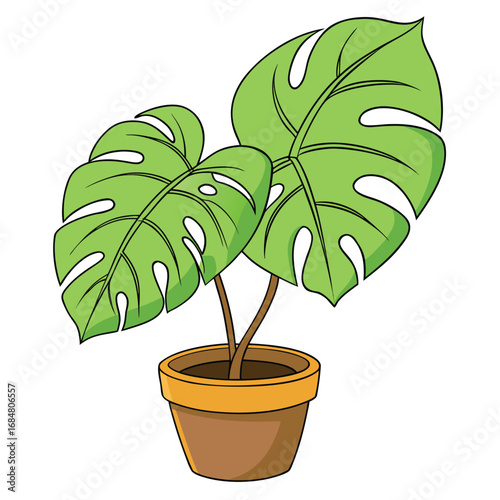 Two Green Monstera Leaves in a Brown Pot Illustration plant planter