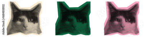 Three stylized cat portraits with different color palettes, showcasing variation and design. Halftone effect vector style.