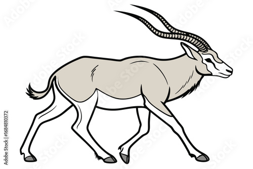 Elegant Scimitar Horned Oryx Illustration Walking Serenely Across the Frame with Graceful Lines and Subtle Color Palette