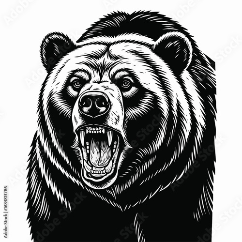 Illustration of an angry bear showing its teeth and open mouth on clean white background. Fierce bear artwork with snarling expression depicts power and aggression.