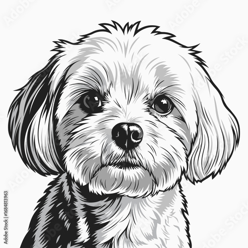 Maltese dog portrait displayed in black and white graphic style, capturing canine's adorable features. This Maltese dog portrait is perfect for pet lovers,
