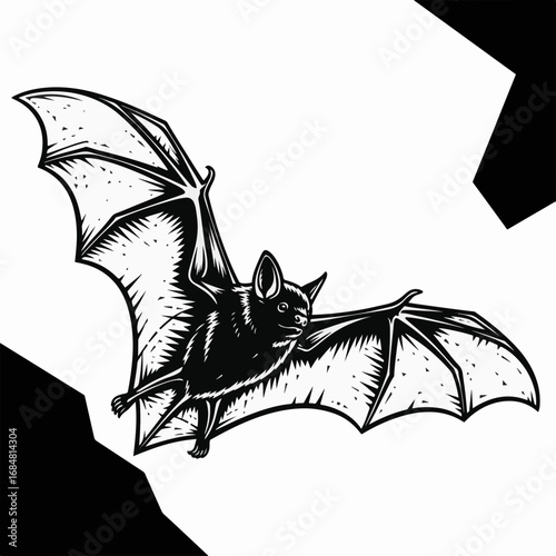 Bat in mid flight illustrated in high contrast woodcut style, showing its wing span and furry body. Bat in mid flight for animal lovers and Halloween themes, perfect art to add to graphic.