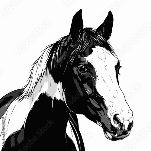 Captivating black and white paint horse portrait highlights animal's unique markings in stark monochrome. Dramatic equine black and white paint horse portrait showcases textures, lines,