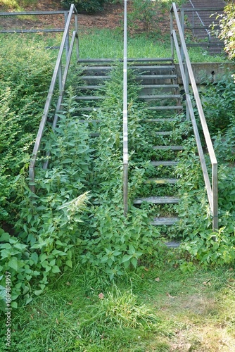 Münster - zugewachsene Treppe zur Promenade