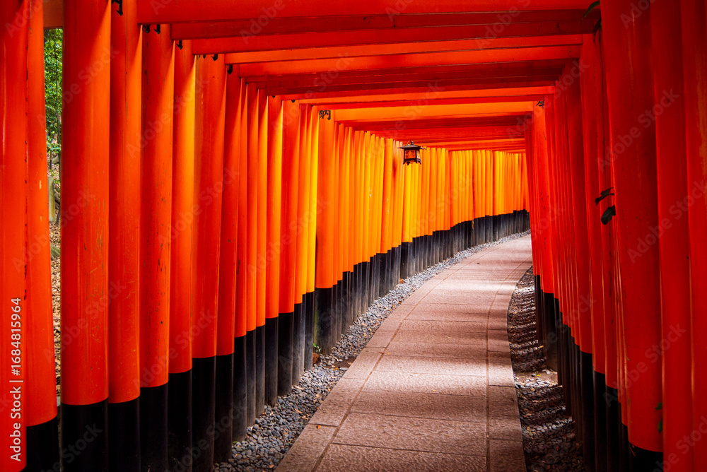 Fototapeta premium 伏見稲荷大社