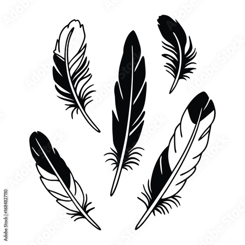 A collection of black and white feather illustrations isolated on white background showcases delicate details and varied shapes