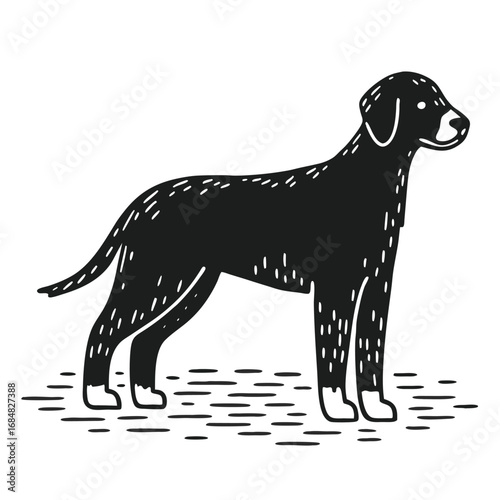 A black labrador retriever stands proudly, isolated on white background, showcasing its sleek coat and noble stance in a minimalist vector illustration