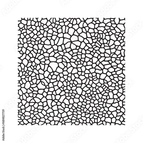 Abstract organic pebble pattern. Hand-drawn black and white texture with rounded stone shapes. Seamless monochrome background.
