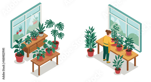 Isometric indoor gardening with plants and caretaker in modern home setting