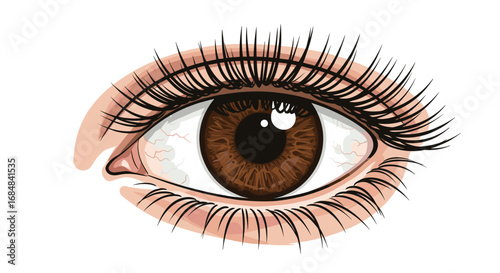 Realistic detailed brown eye close-up with eyelashes on white background