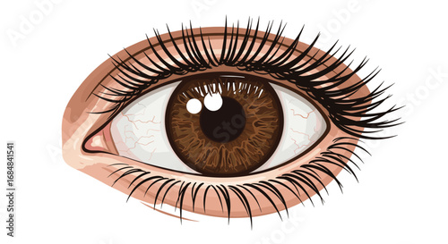 Realistic brown eye close-up with detailed eyelashes and iris texture