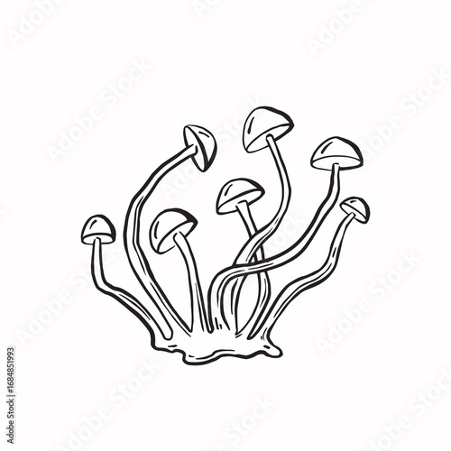 Mushrooms honey agarics line sketch monochrome vector