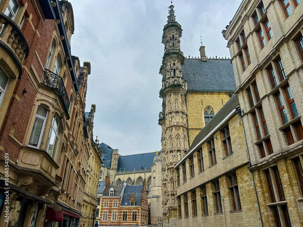 Obraz premium Charming old street view of Leuven town hall with ornate buildings and church tower