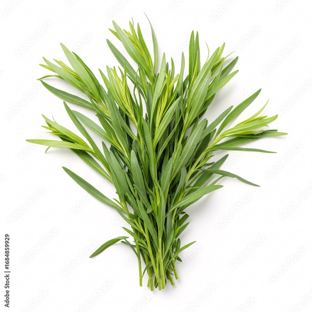 Fototapeta premium A bunch of fresh tarragon with slender, long green leaves, gathered together,