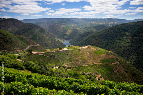 Panoramic views of the vineyards of the Sil Canyon in the Ribeira Sacra (Galicia, Spain). Examples of heroic viticulture.
