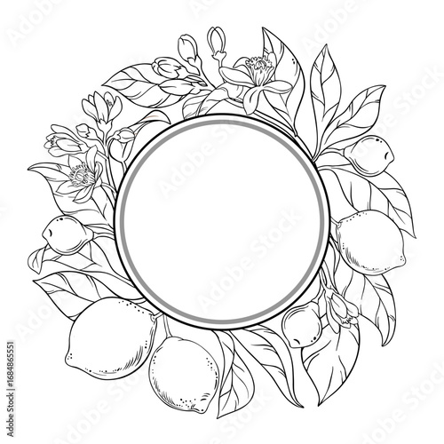 Lime Branch with Flowers, Fruits and Leaves Outline Round Frame. Organic natural nutritional healthy food ingredient, vegetarian diet product. Vector isolated for design or decoration.