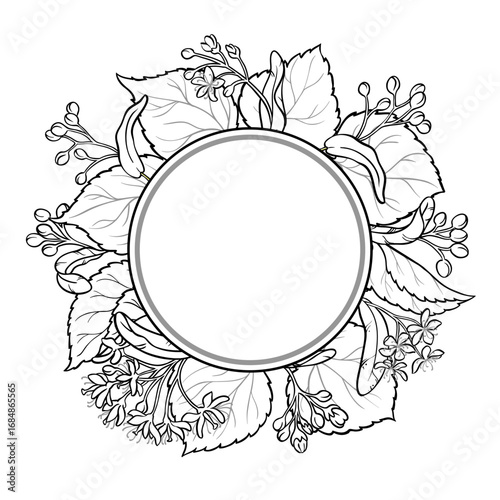 Linden Branch with Flowers and Leaves Outline Round Frame. Ingredient for cosmetics, spa, aromatherapy, health care, alternative medicine. Vector isolated for design or decoration.