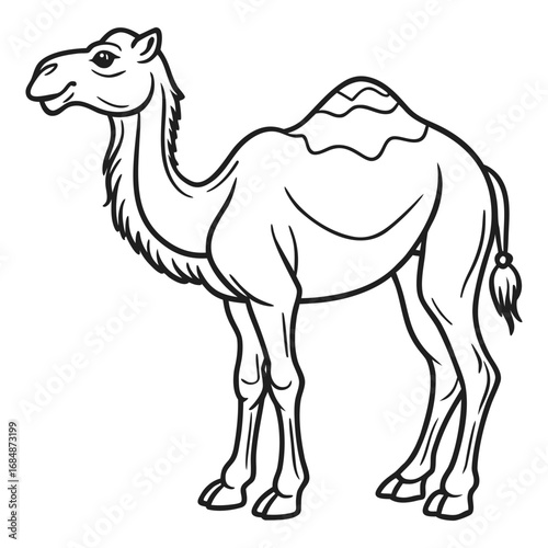 Lone dromedary camel standing proudly in profile a classic desert animal symbolizing endurance and travel vector