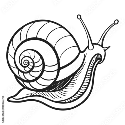 Detailed hand drawn snail crawling forward showing its shell antennae and foot in a naturalistic line art style vector