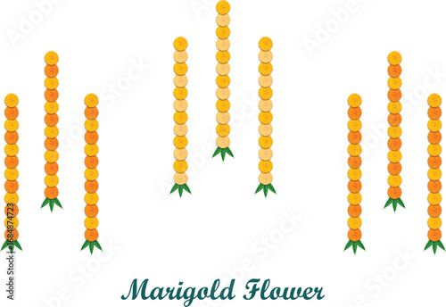 Indian marigold Garland Decoration: traditional celebration festival dussehra, Diwali, wedding, floral on transparent background, png image	vector 