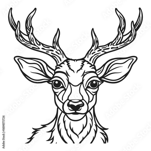 Majestic deer head portrait with antlers detailed line art nature wildlife symbol majestic forest animal vector