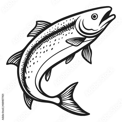 Bold line art of a jumping salmon fish in dynamic pose capturing aquatic power and natural beauty vector