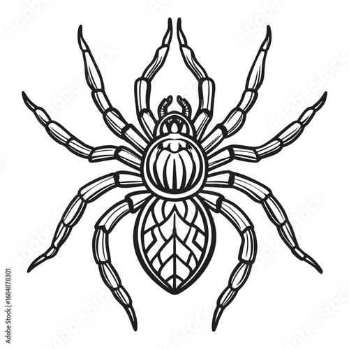Detailed black and white line drawing of a tarantula spider with intricate leg details and body patterns vector