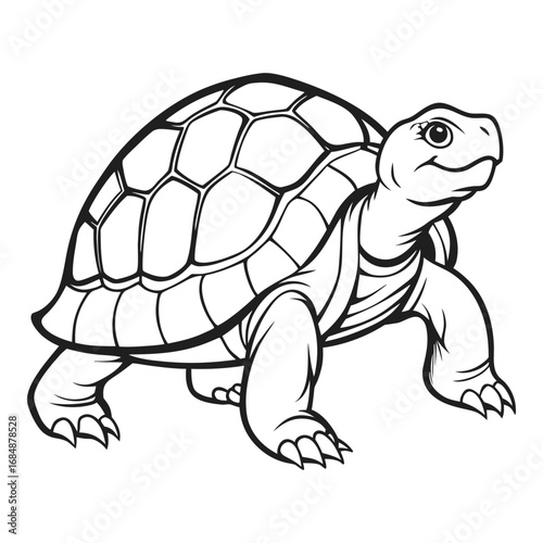 Detailed line drawing of a tortoise with a textured shell and expressive face captured in a static pose vector