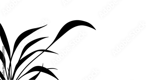 Elegant black grass blades curve gracefully, creating a minimalist, artistic floral design for modern aesthetics.