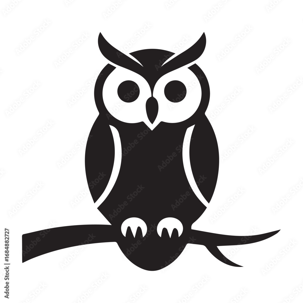 Fototapeta premium owl on white background
