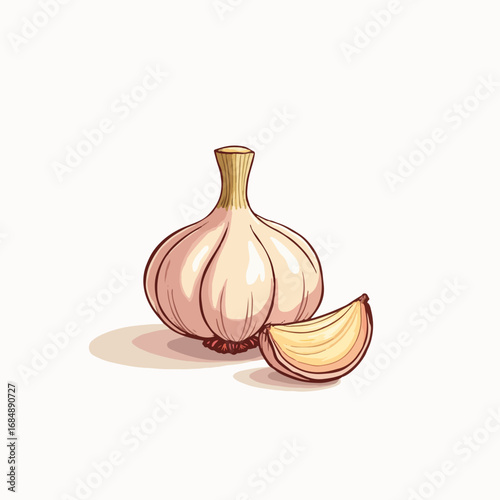 Fresh garlic bulb and clove, an essential culinary ingredient for flavoring food. Natural garlic enhances recipes with its distinctive aroma and spicy flavor.