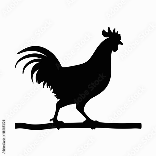 Silhouette of a chicken perched, seen against white backdrop. Black silhouette of a chicken on perch presents classic image, detailed comb, feathers, and strong profile.
