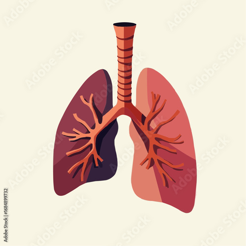 Abstract illustration of human lungs with detailed structure and colors  