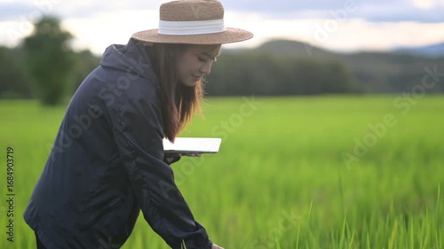 A woman examines rice plants in a lush green field, wearing a straw hat and holding a tablet, blending technology with agriculture.