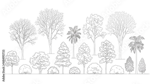 Tree Line Art Vector | CAD Elevation Sketch and Outline for Architecture and Landscape Design