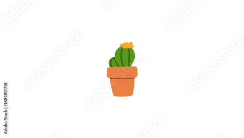 Terracotta pots