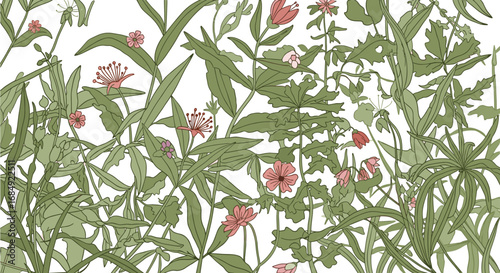 An intricate botanical illustration featuring delicate pink blossoms and lush green foliage in a detailed naturalistic style
