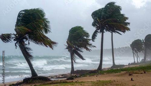 A dramatic scene of a violent rainstorm at the beach. Powerful winds whip across the shoreline, bending and swaying tall coconut trees, their fronds thrashing in the air.