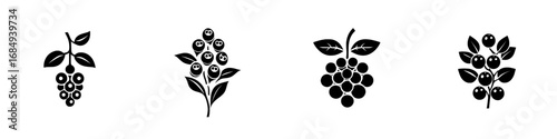 Minimalist black-and-white vector icons of fruits depicting different berry varieties and their plant structures