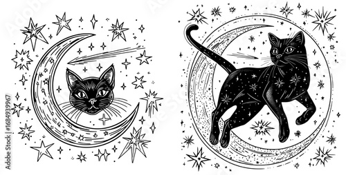 The mystical black cat, an animal of the occult, stretches on a crescent moon adorned with symbols of astrology and the cosmos, representing mystery and supernatural ties