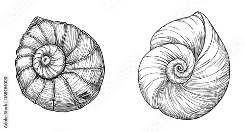 The English alphabet typeface for the letter G has been designed as a cartoon font featuring a sea shell, making it suitable for a summer vacation trip and other tourist vacation themes for kids