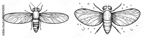 A cute and cheerful cartoon character of a cicada or small fly insect features a funny face and big googly eyes, making it suitable as a modern personage for kids mascot or zoology cartoon character
