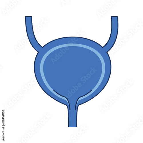 A minimalist 2D flat vector illustration depicts a full human bladder with smooth, clean lines and a cool blue solid color, isolated on a clean white background for medical or educational use.