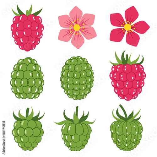 Delicious ripe and unripe berries with beautiful pink and red flowers for your design needs