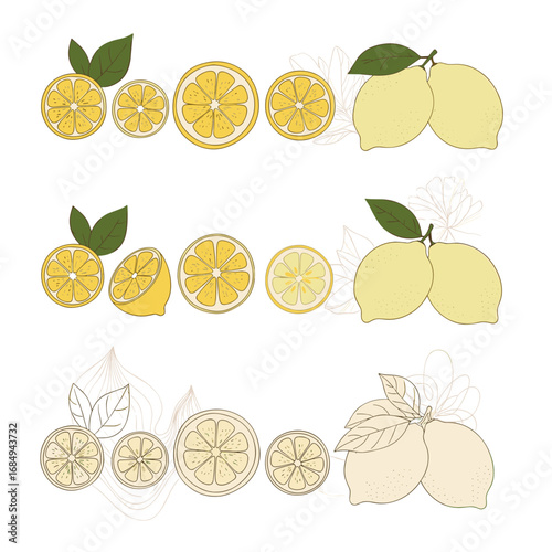 Fresh organic citrus fruit slices and whole lemons for healthy eating and refreshing beverages