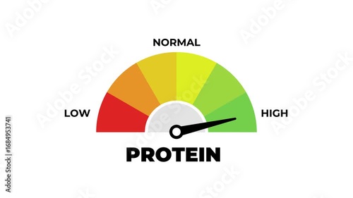 Protein Level Gauge Meter Animation, Low Normal High Infographic Chart for Health and Nutrition