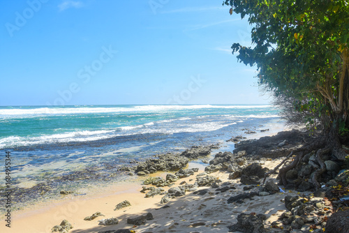 sunny day at a troplical beach